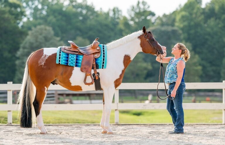 Horse Accessories